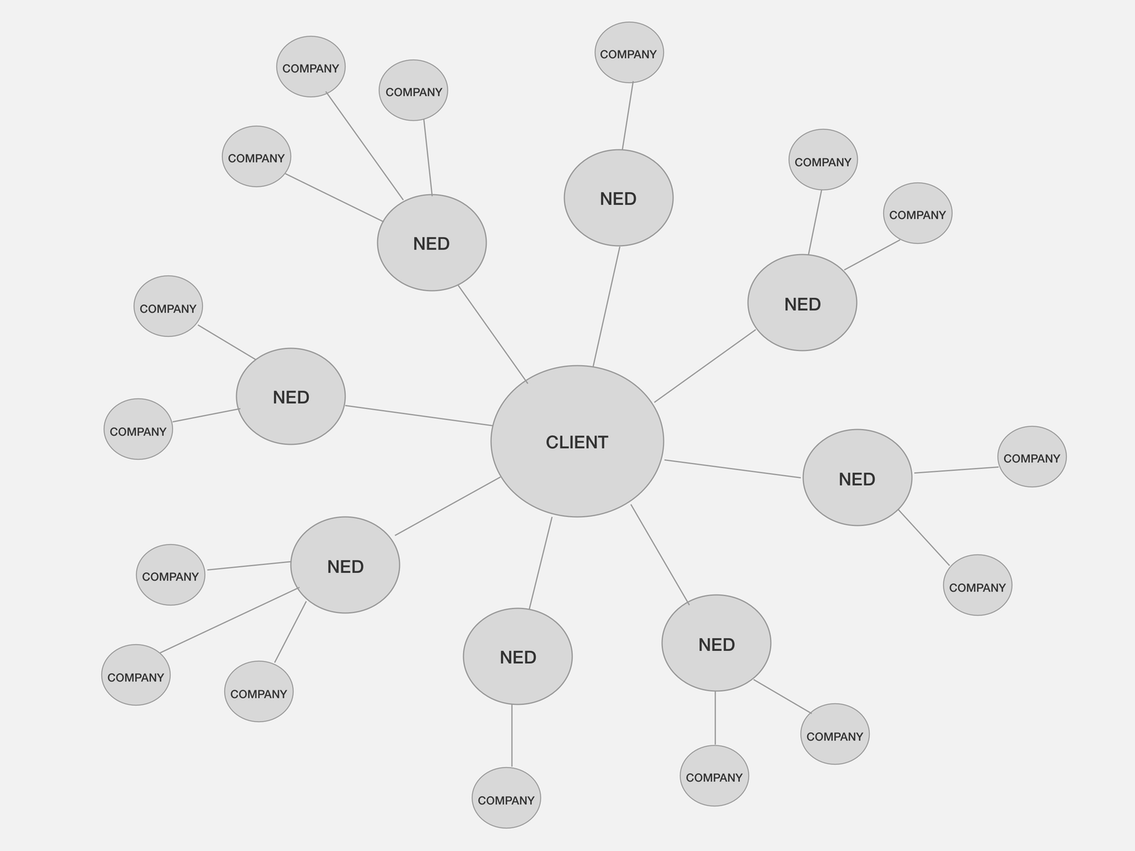 BoardEx_Organisation_Connections-Wireframe-Copy@2x